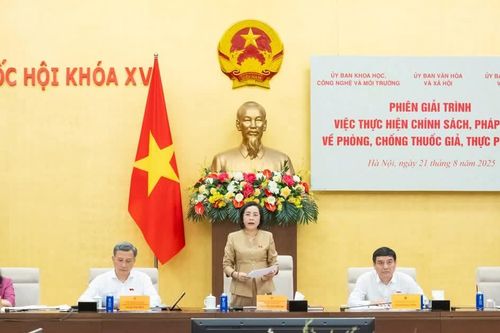 Giải trình, đề xuất giải pháp hữu hiệu để phòng, chống thuốc giả, thực phẩm giả