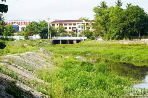 Đà Nẵng: Cần giải pháp bảo đảm môi trường bền vững tại hồ điều hòa Duy Tân