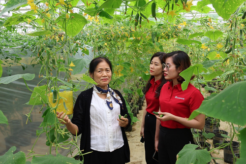 Đồng tiền và tự chủ dân tộc