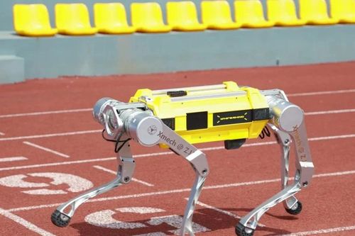 Robot Trung Quốc phá kỷ lục thế giới, vượt mặt Hàn Quốc