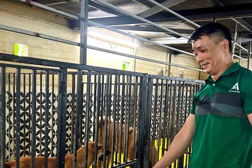 Người đàn ông ở Huế hơn 10 năm cứu hàng nghìn con chó, mèo cơ nhỡ