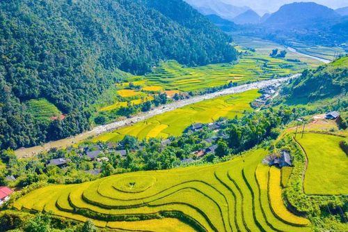 Bức tranh mùa thu ruộng bậc thang không thể rời mắt ở Sơn La