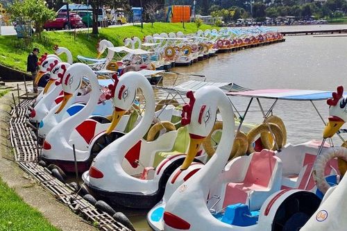 Dịch vụ đạp vịt hồ Xuân Hương hoạt động trở lại