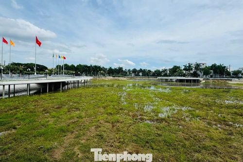 Cải tạo xong, hồ điều hòa giữa trung tâm tỉnh Quảng Ngãi nước vẫn... không ngập ngọn cỏ