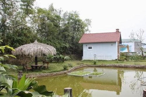 Có nên bán nhà ở quê?