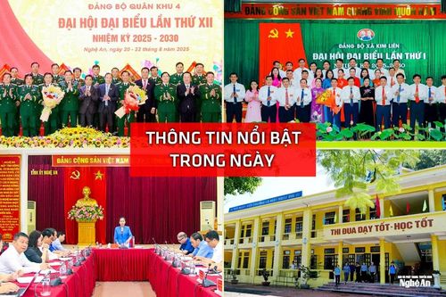 Nghệ An: Thông tin nổi bật ngày 21/8