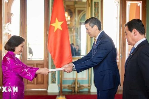 Đại sứ Việt Nam trình quốc thư lên Tổng thống Paraguay