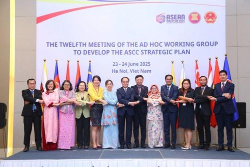 Việt Nam lồng ghép, thực hiện hầu hết mục tiêu của Cộng đồng Văn hóa-Xã hội ASEAN