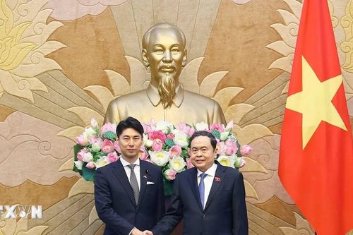Chủ tịch Quốc hội: Các nghị sỹ trẻ Nhật Bản góp phần thúc đẩy quan hệ hai nước
