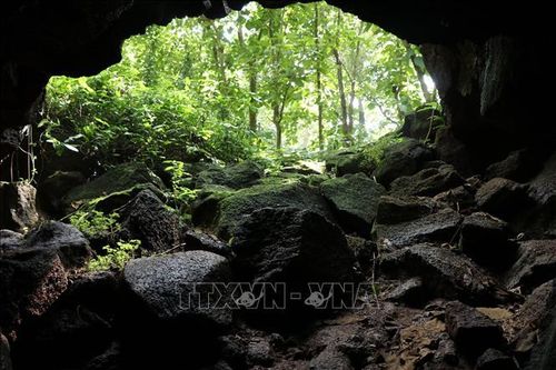 Khám phá một trong 5 hang động núi lửa dài nhất Đông Nam Á
