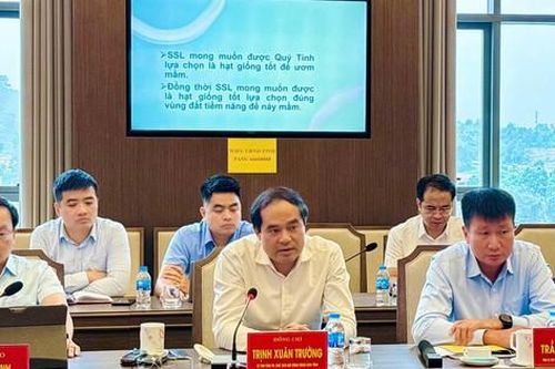 Lào Cai: Định hướng phát triển hạ tầng công nghiệp công nghệ số