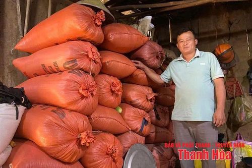 Khi dân bản được học nghề