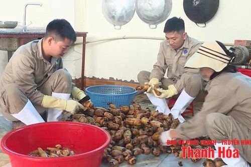 Đẩy mạnh chế biến sâu để nâng cao giá trị nông sản