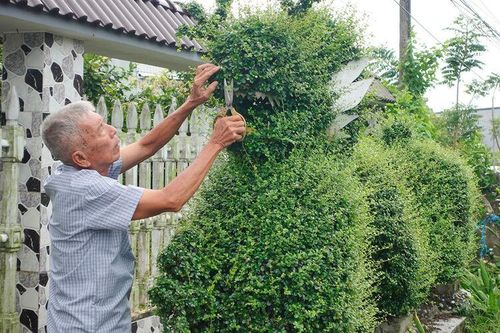 Dân vận hiệu quả, nông thôn khởi sắc