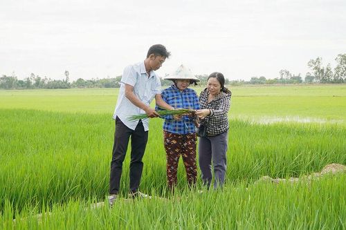 Tân Hội đoàn kết, xây dựng quê hương