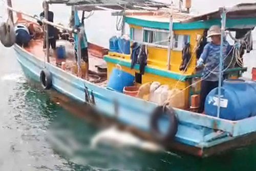 Phát hiện một thi thể nam trôi trên biển khu vực Xẻo Nhàu