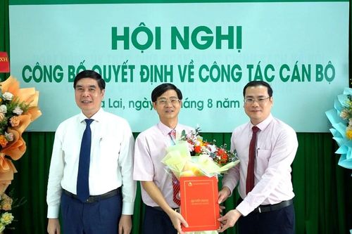Bổ nhiệm Giám đốc Chi nhánh Ngân hàng Chính sách xã hội tỉnh Gia Lai