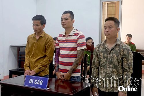 Góp tiền mua ma túy sử dụng, nhóm thanh niên vào tù