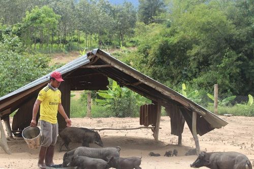 Thay đổi tư duy làm kinh tế của đồng bào xã Đông Giang
