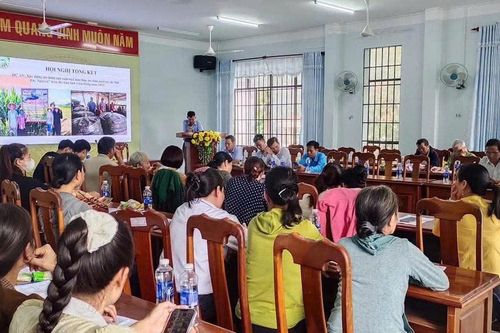 Trồng ngô làm thức ăn chăn nuôi phù hợp với vùng đất Cát Tiên