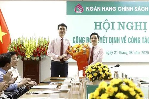 Công bố quyết định bổ nhiệm Giám đốc Chi nhánh Ngân hàng Chính sách xã hội tỉnh Phú Thọ