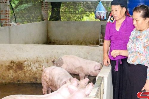 Đồng hành cùng phụ nữ phát triển kinh tế