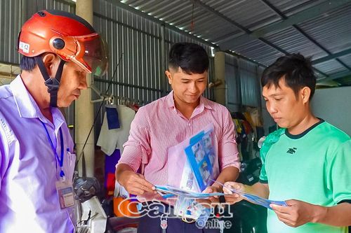 Diệt muỗi vằn để phòng bệnh sốt xuất huyết và bệnh chikungunya