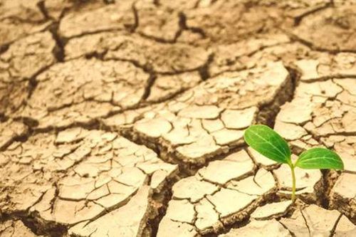 Kiểm toán nhà nước trước thách thức khí hậu: Định hình chính sách từ thực tiễn