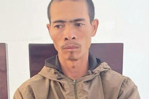 Gia Lai: Bản án dành cho gã anh rể phá hoại vườn cà phê để 'đòi quan hệ với em vợ', gây thiệt hại 183 triệu đồng