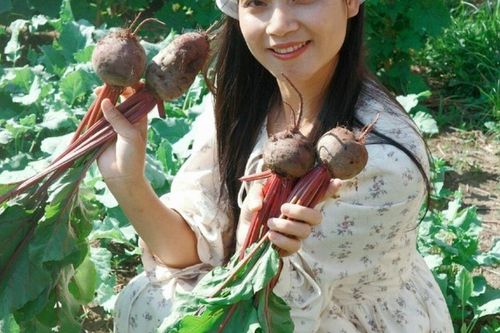 Mẹ đảm mát tay làm vườn ở Mỹ, phải xách cả cuốc từ Việt Nam sang, rau nào cũng xanh tươi tốt