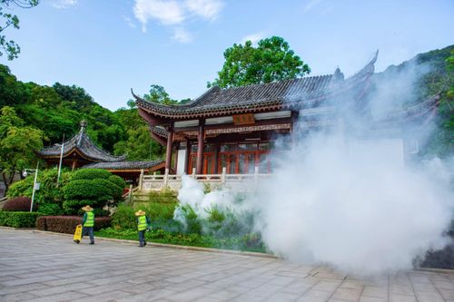 Lời cảnh tỉnh từ dịch Chikungunya