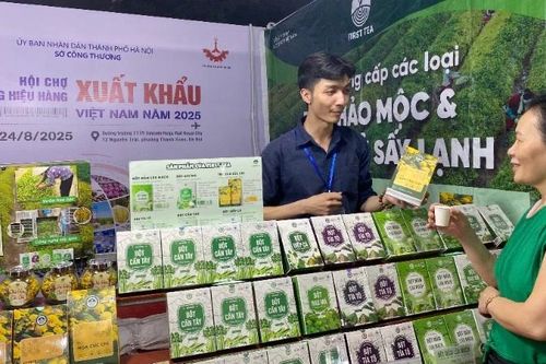 Hà Nội hỗ trợ các doanh nghiệp xuất khẩu