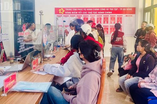 Sinh viên ngược núi hỗ trợ chính quyền địa phương