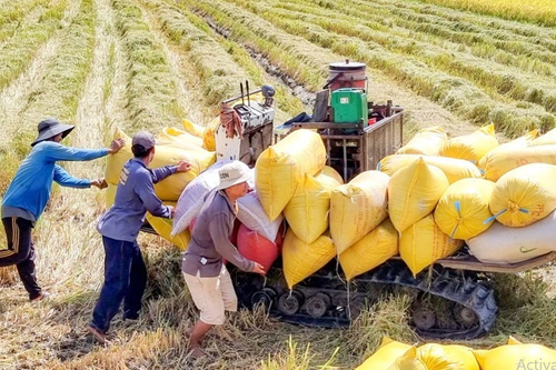 Triển lãm ngành nông nghiệp và môi trường: Kết tinh 80 năm thành tựu vì tương lai bền vững