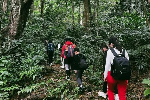 Bí kíp khám phá Vườn Quốc gia Cúc Phương tránh rủi ro cho du khách