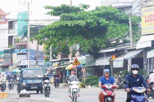Gỡ khó giải phóng mặt bằng cho dự án nâng cấp 7km Quốc lộ 91 ở Cần Thơ