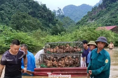 Mưa lớn gây ngập sâu ở Lạng Sơn