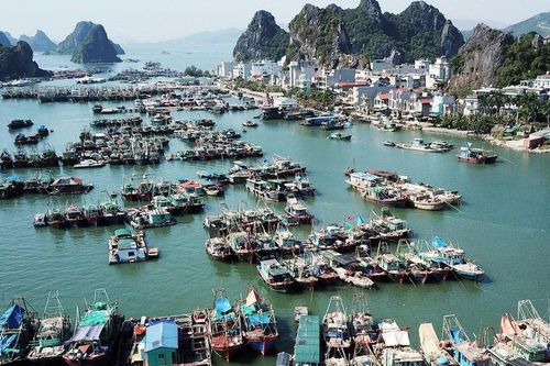Chương trình 'Cùng ngư dân thắp sáng đèn trên biển' đến đặc khu Vân Đồn