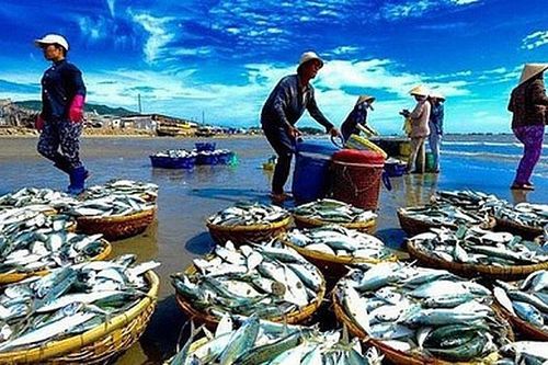 Thúc đẩy tiêu thụ thủy sản nội địa để cân bằng phát triển