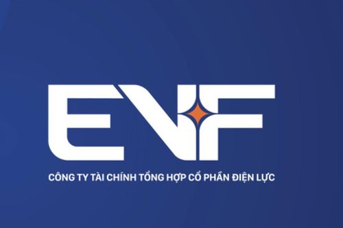 Sau khi thanh tra chỉ ra loạt 'góc khuất', EVN Finance bỏ tên dễ gây nhầm lẫn
