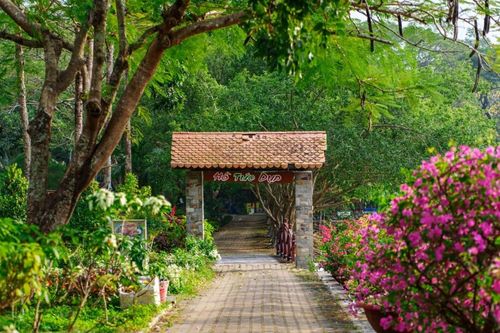 Tức Dụp - Ngọn đồi với những ký ức hào hùng giữa lòng An Giang