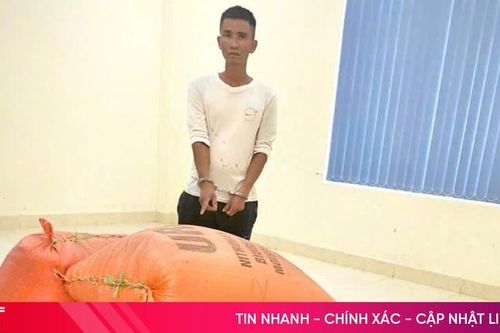 Đột nhập nhà dân trộm hơn 400kg lúa