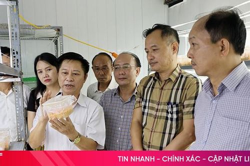 Hà Tĩnh có 8 sản phẩm đề xuất đánh giá, phân hạng sản phẩm OCOP 4 sao