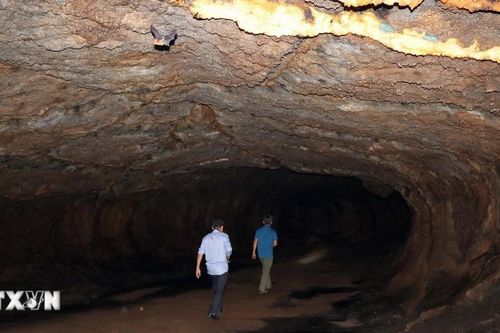 Khám phá quần thể hang động núi lửa dài nhất Đông Nam Á ở Đồng Nai