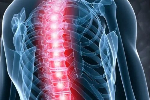 Israel chuẩn bị ca cấy ghép tủy sống đầu tiên trên thế giới bằng tế bào tự thân