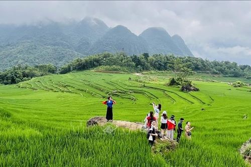 Chia sẻ tầm nhìn, tháo gỡ hai 'điểm nghẽn' lớn của du lịch xứ Thanh