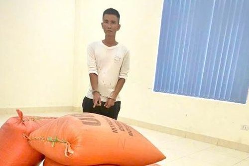 Khởi tố, bắt tạm giam đối tượng đột nhập nhà dân trộm 10 bao lúa