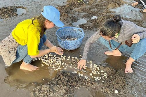 Về miền Tây, bỏ túi 50.000 đồng đi trải nghiệm thú vui cào nghêu