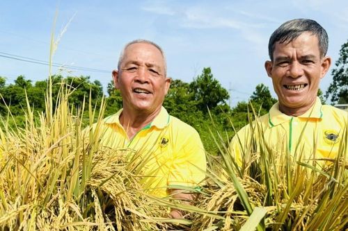Bình Điền: Hành trình hơn nửa thế kỷ phụng sự nông dân và tầm nhìn tiên phong xanh hóa - số hóa