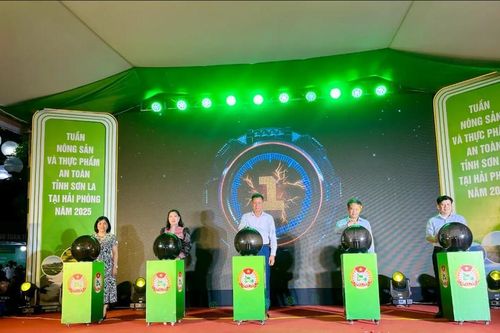 Khai mạc Tuần nông sản và thực phẩm an toàn tỉnh Sơn La tại Hải Phòng năm 2025